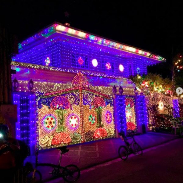 9 Easy Facts About Christmas Light Installation Near Me Described