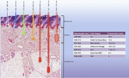 How Does PBM Work