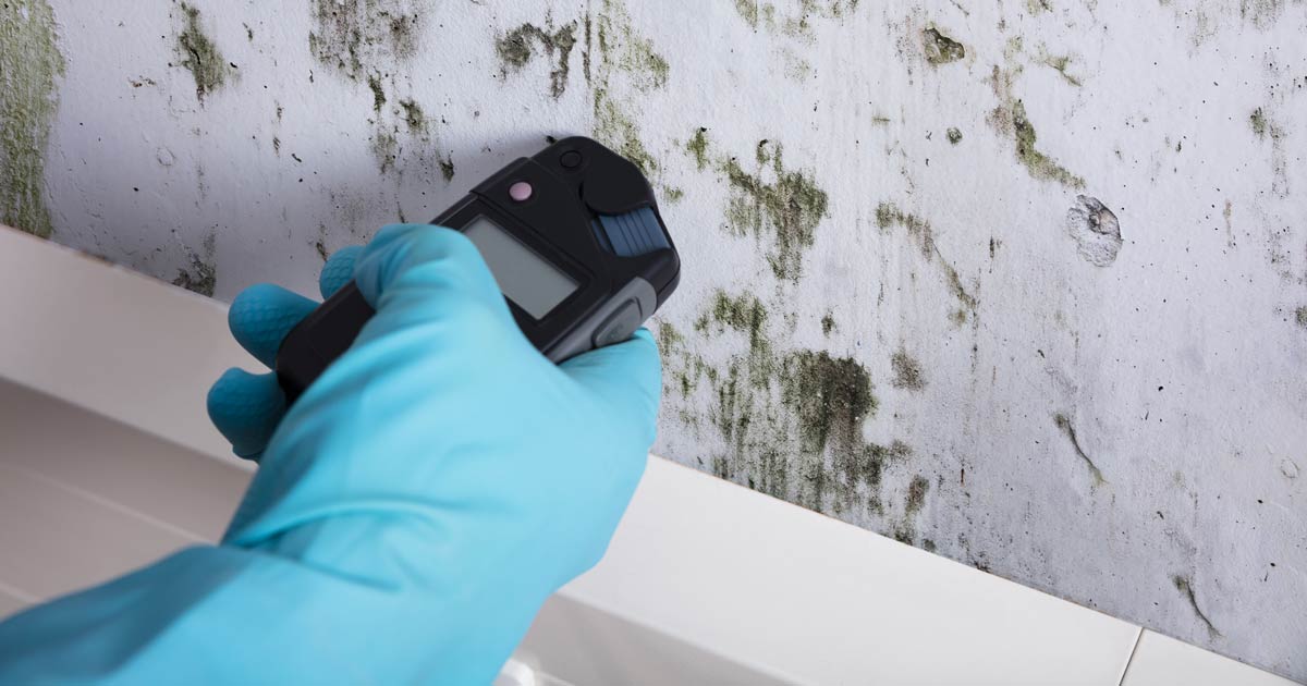 Preventing Future Mold Growth