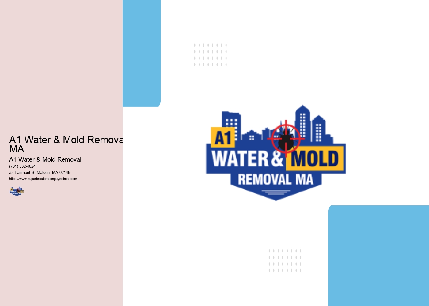 A1 Water & Mold Removal MA