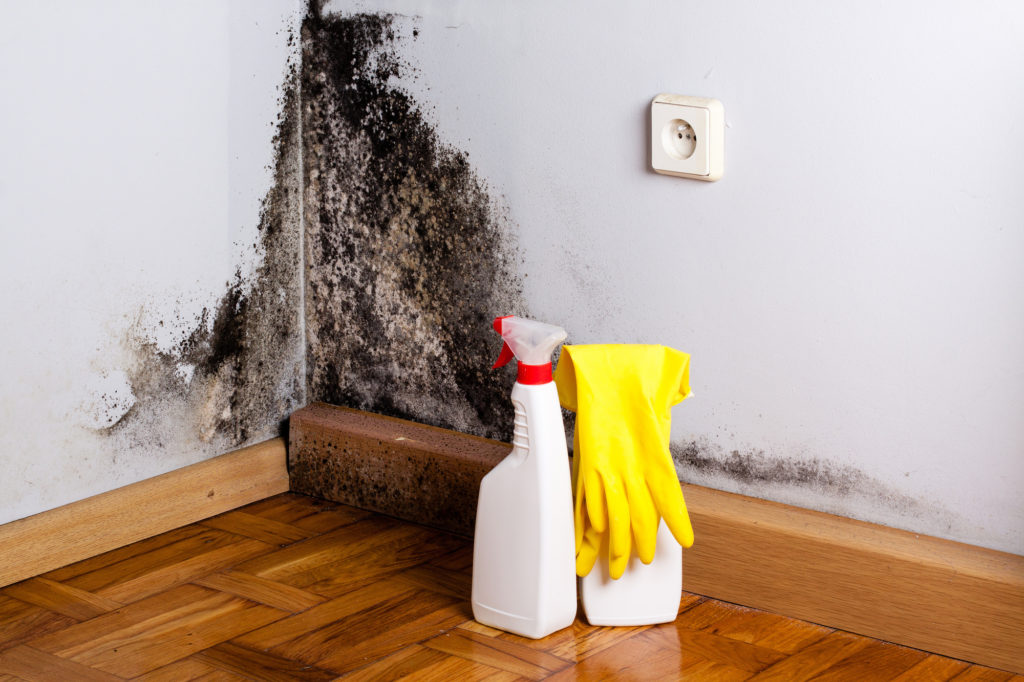 Effective Cleaning and Disinfecting