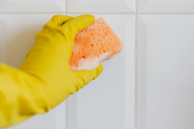 Precautions for Safe Mold Remediation