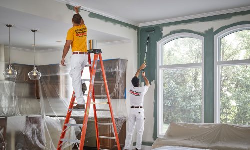 The Facts About House Painters Kansas City Revealed