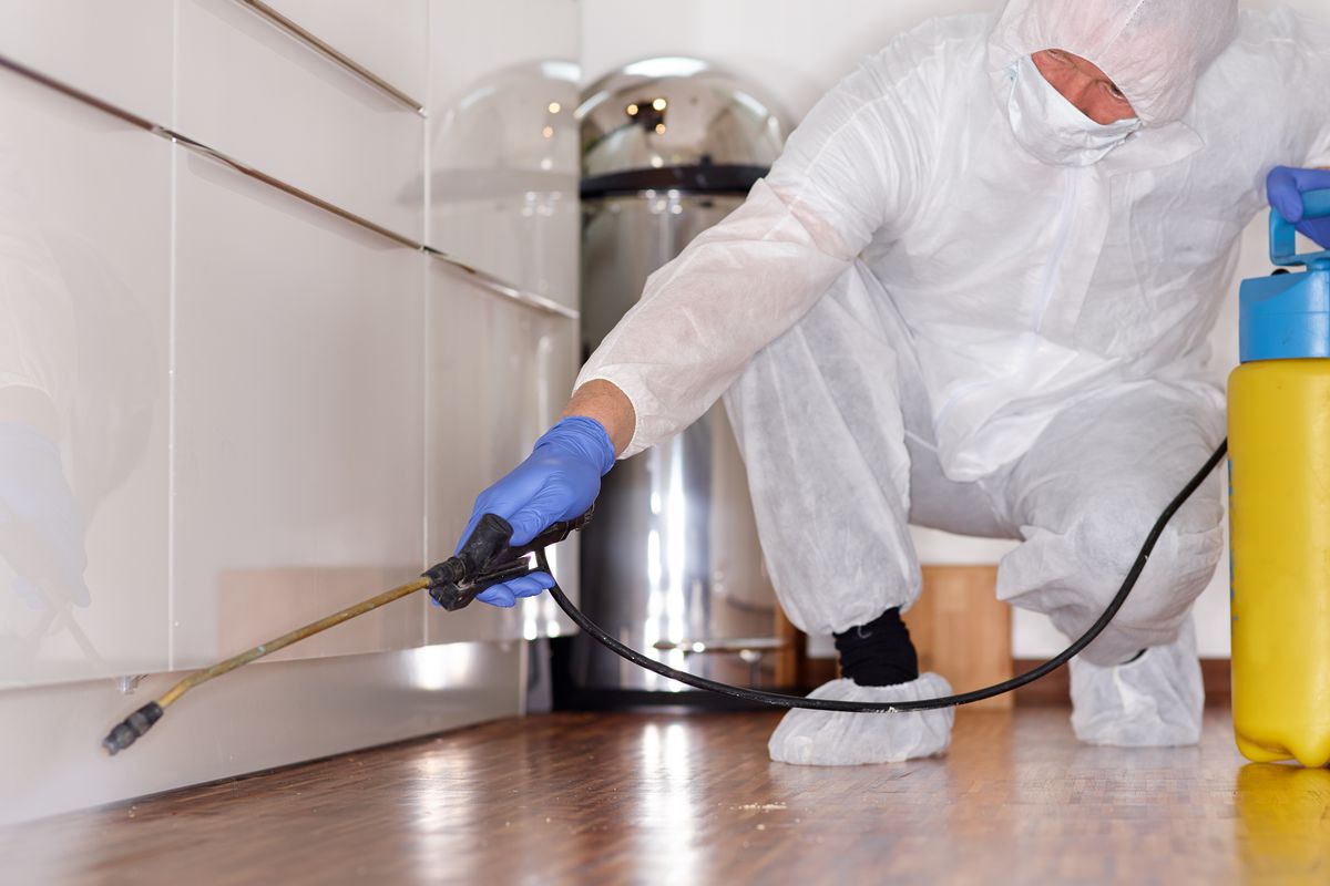 The Ultimate Guide To Pest Control Utah