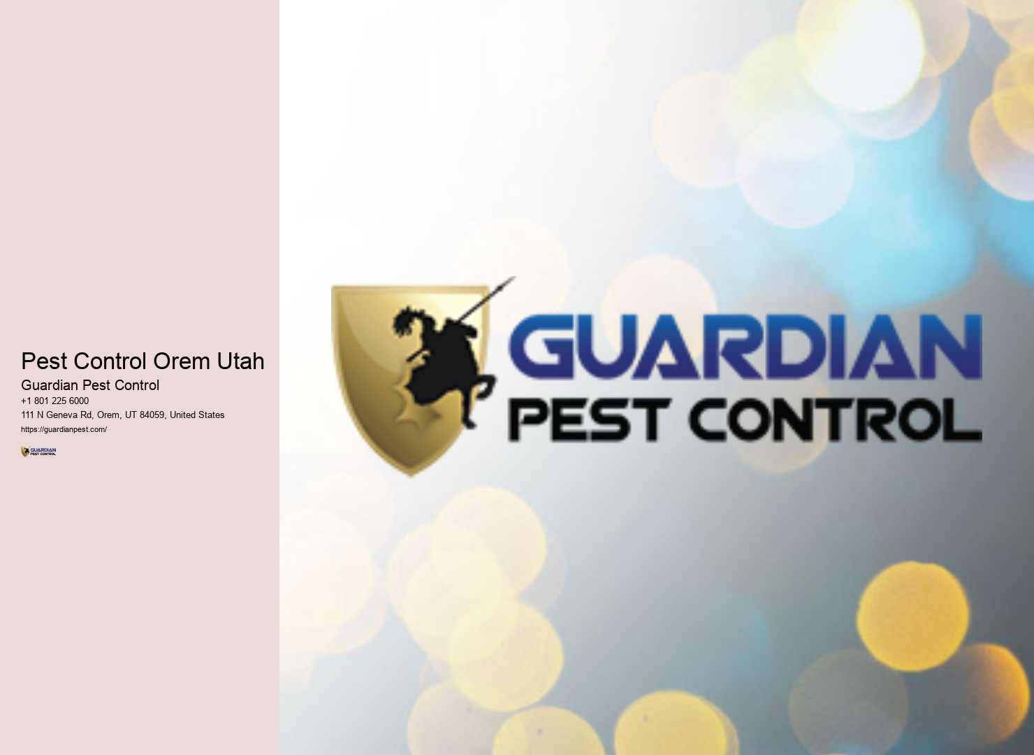 Pest Control Orem Utah