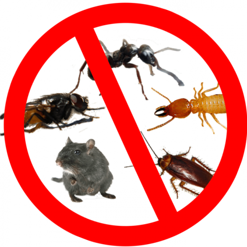 4 Simple Techniques For Pest Control Utah