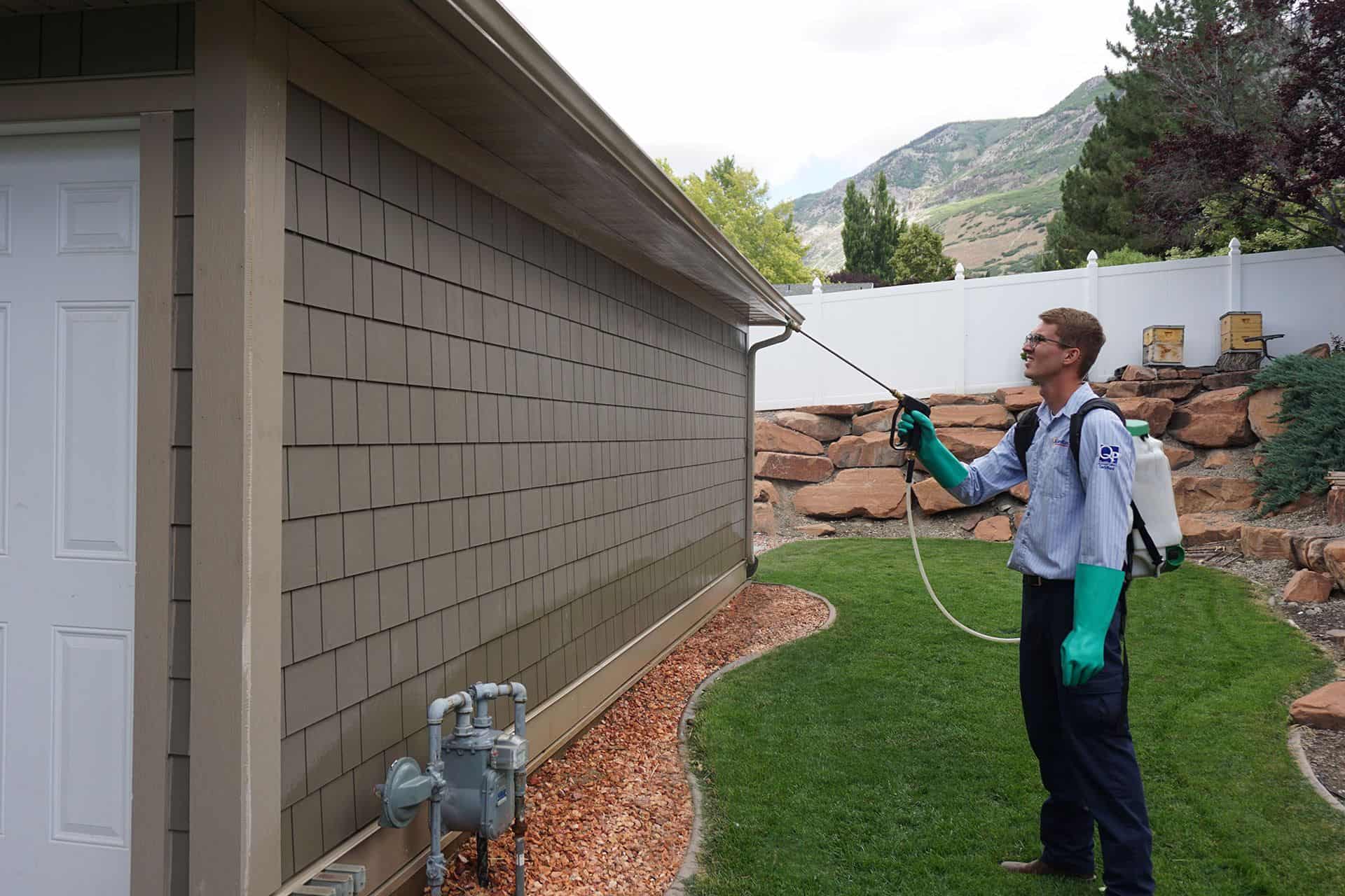 Pest Control Utah for Beginners
