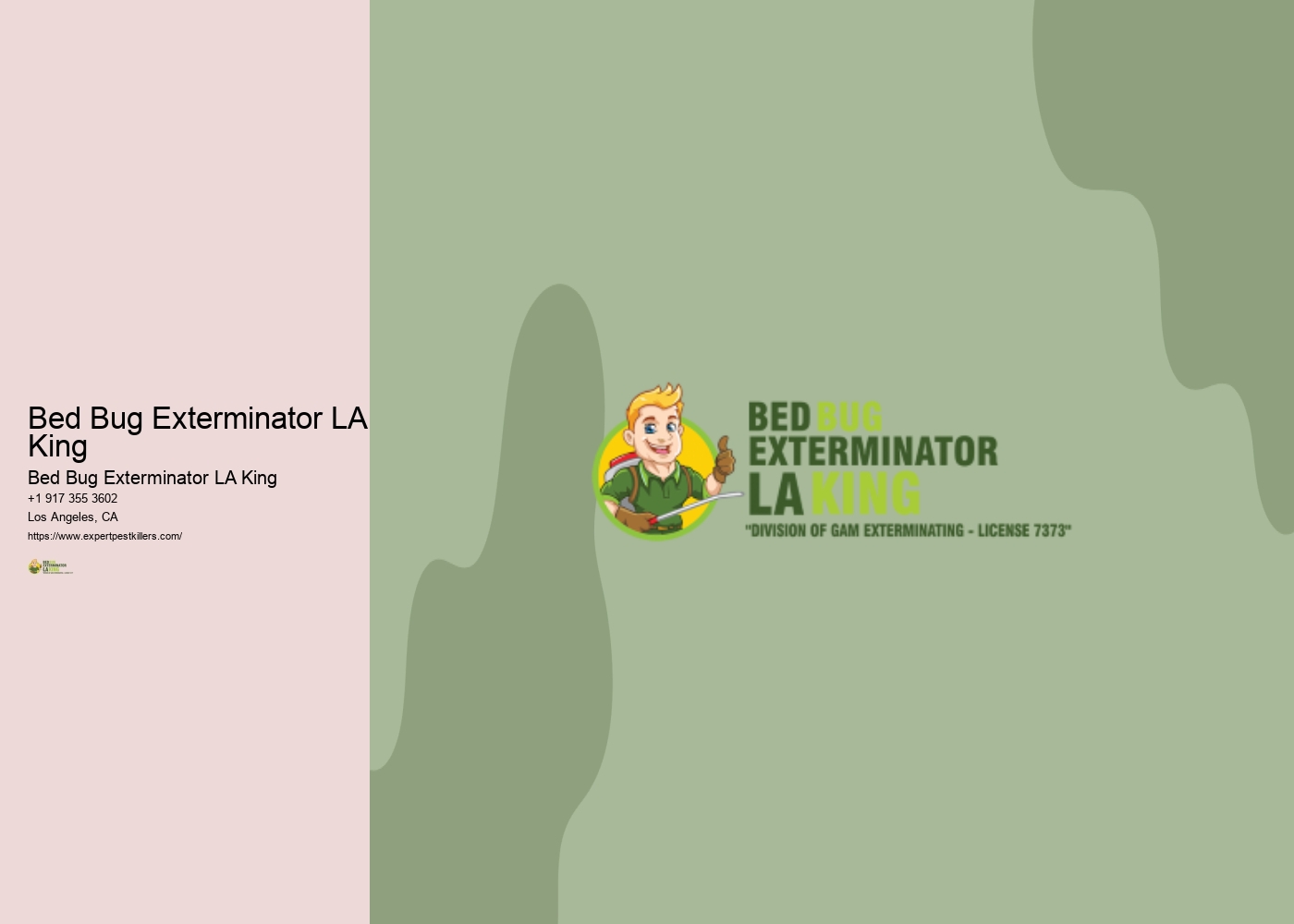 Bed Bug Exterminator LA King