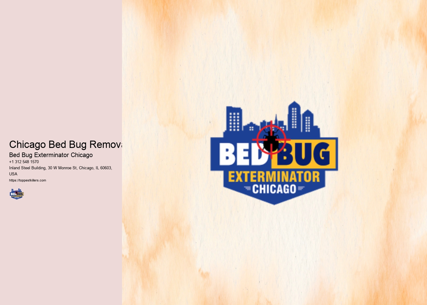 Chicago Bed Bug Removal