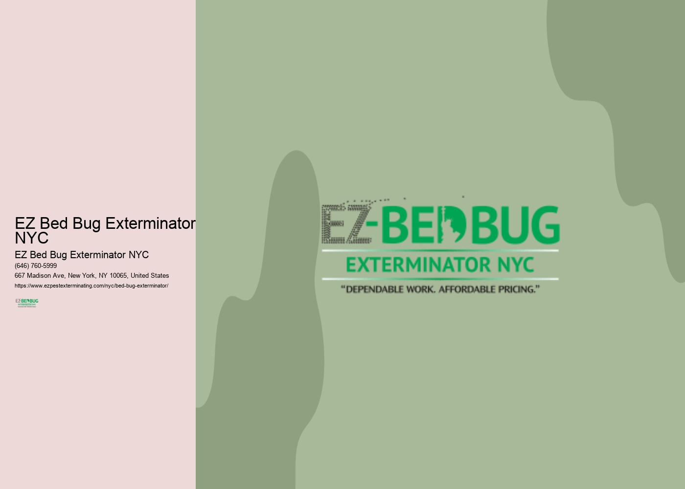 EZ Bed Bug Exterminator NYC