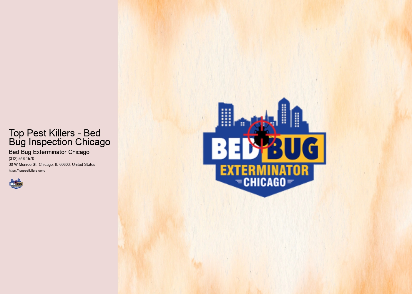 Top Pest Killers - Bed Bug Inspection Chicago