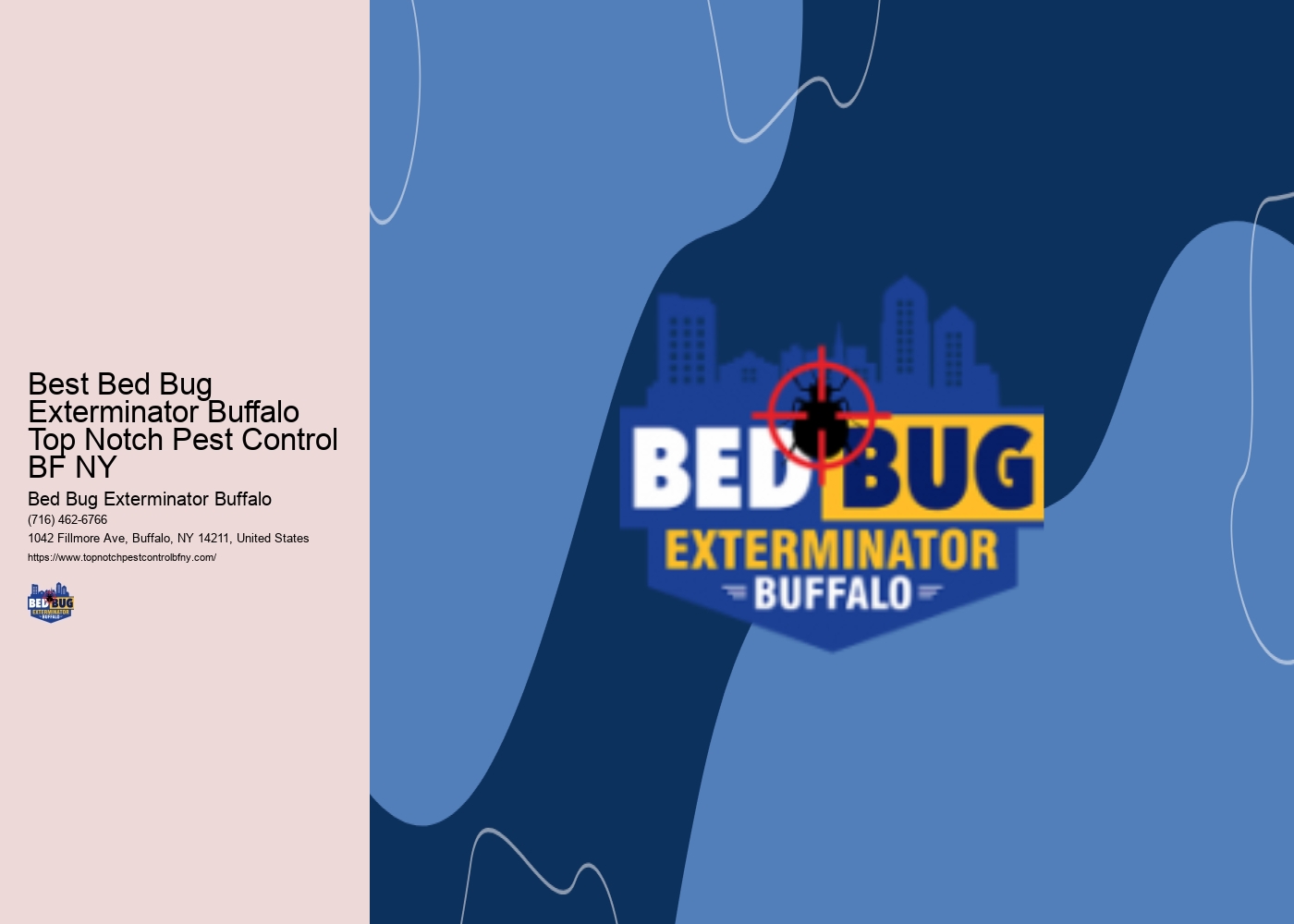 Best Bed Bug Exterminator Buffalo Top Notch Pest Control BF NY