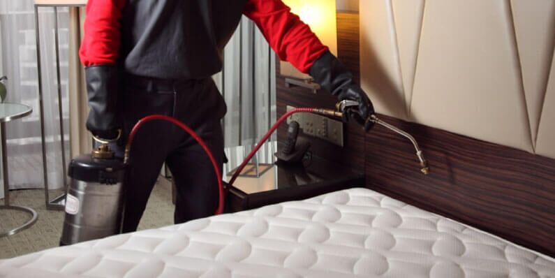 Post-Treatment Bed Bug Prevention