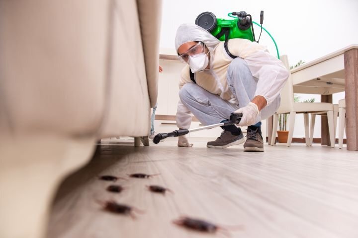 Experienced Pest Management Teams