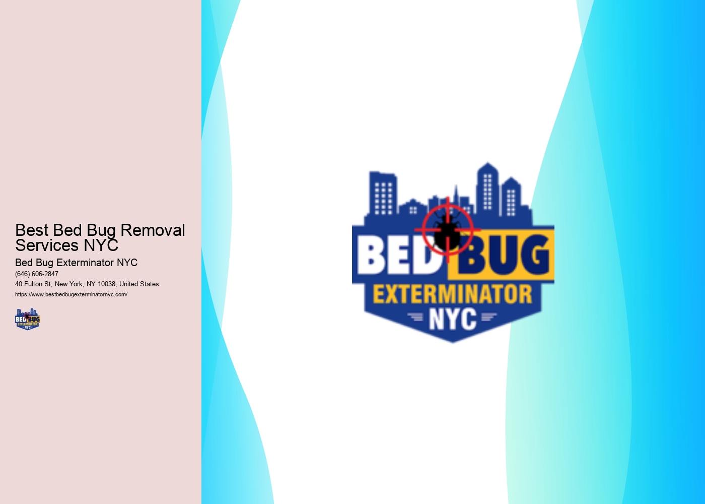 Best Bed Bug Removal Services NYC