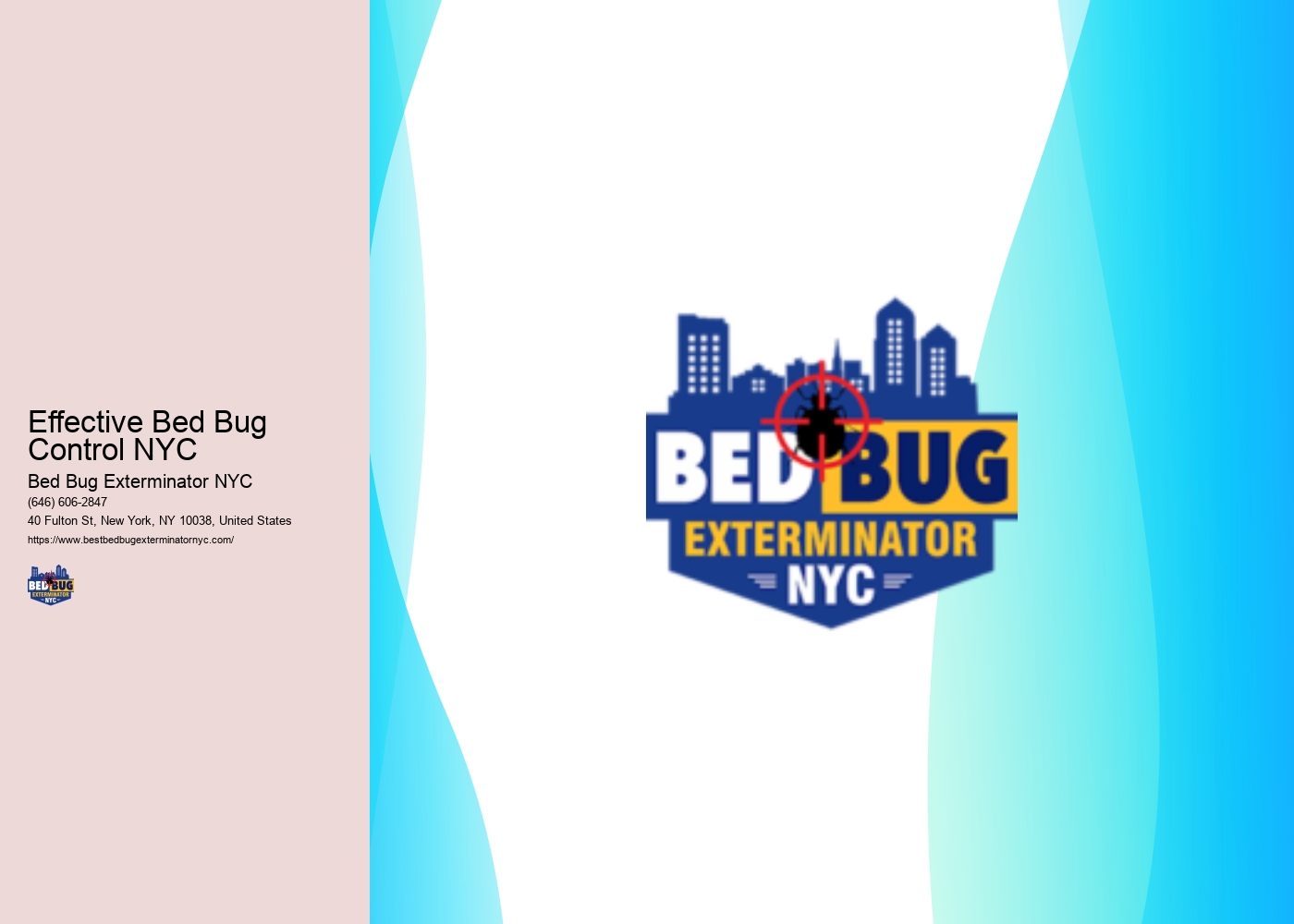 Effective Bed Bug Control NYC