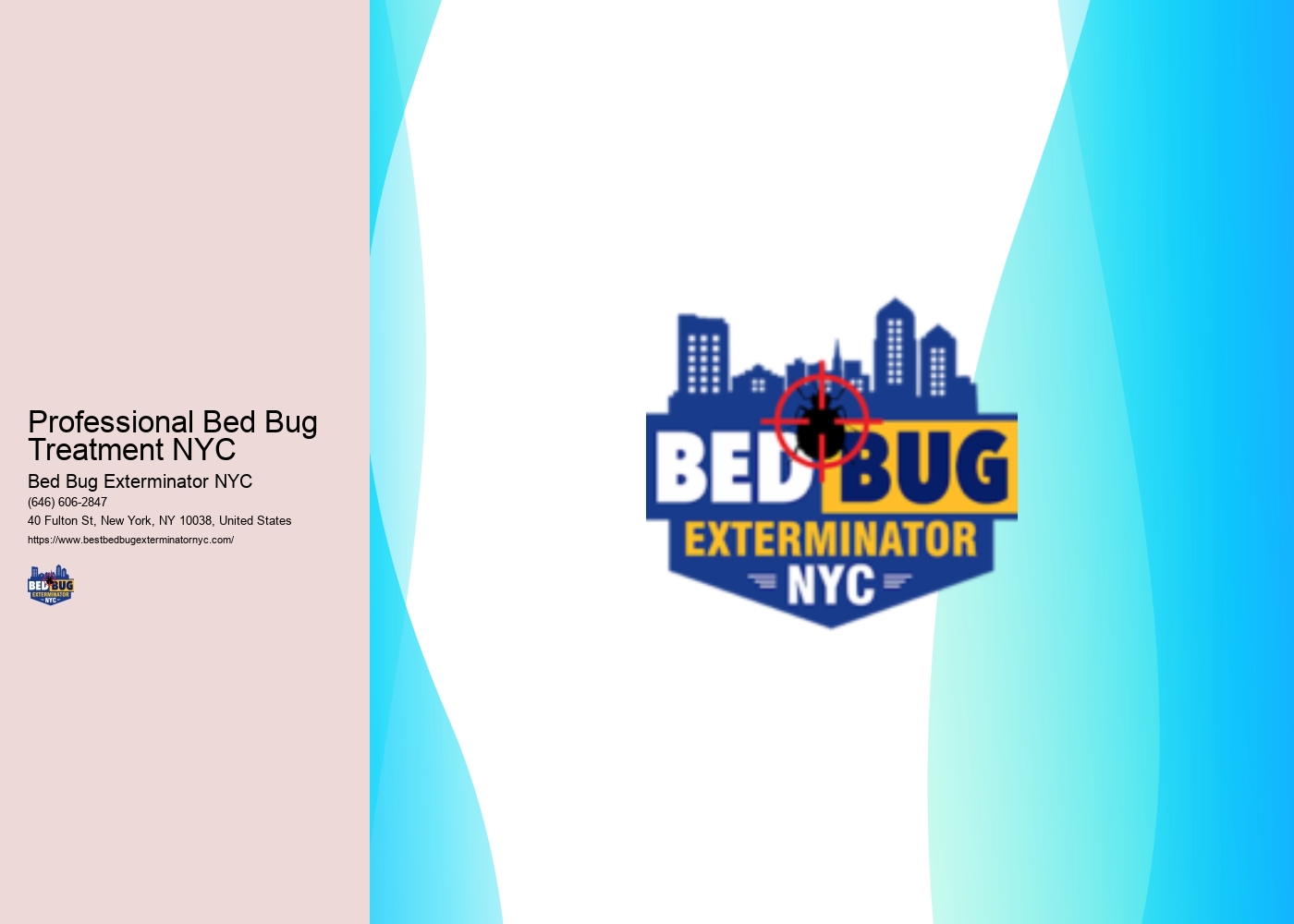 Professional Bed Bug Treatment NYC