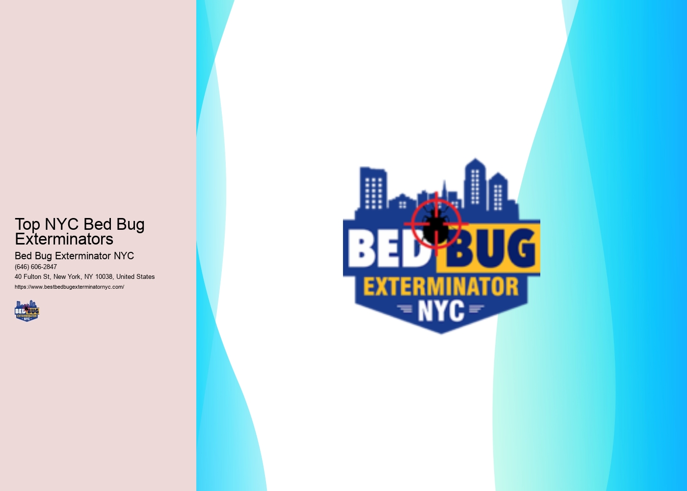 Top NYC Bed Bug Exterminators