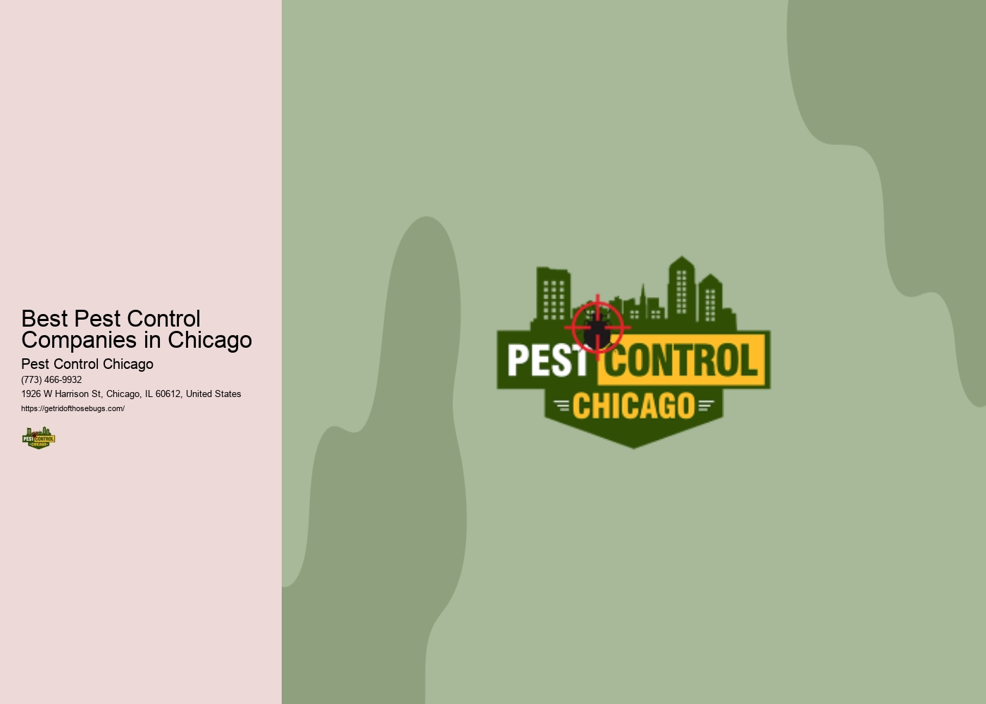 Best Pest Control Companies in Chicago