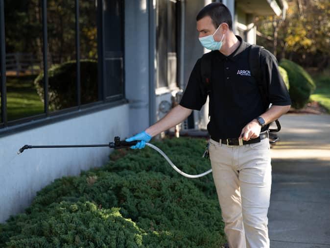 Signs You Need Pest Control