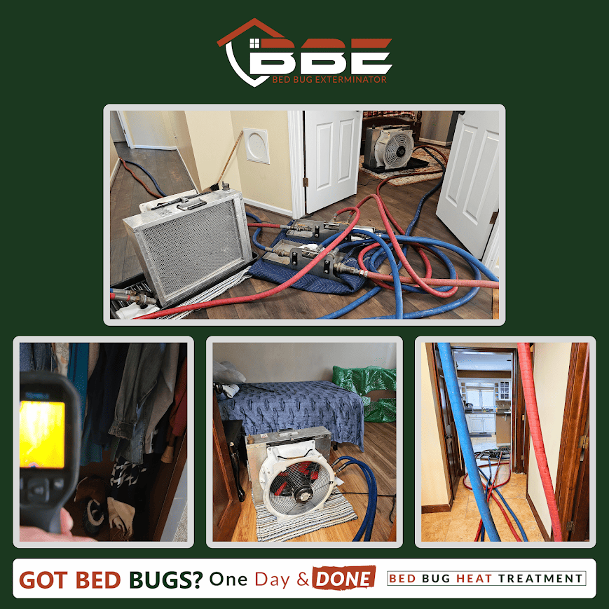 How to Spot Bed Bugs Early: Signs of Infestation