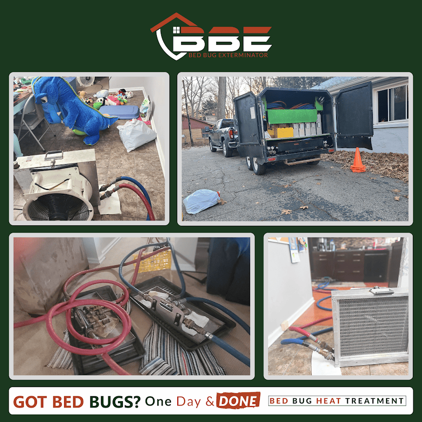 Use These DIY Methods to Remove Bed Bugs