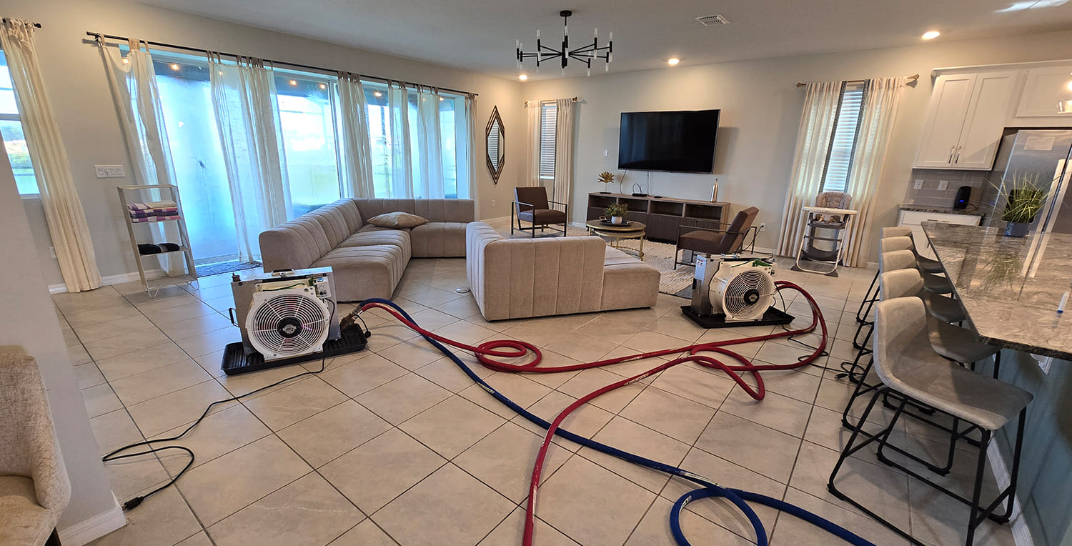 Practical Tips to Prevent Future Bed Bug Infestations