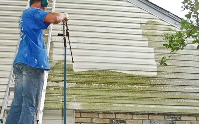 The Buzz on House Washing