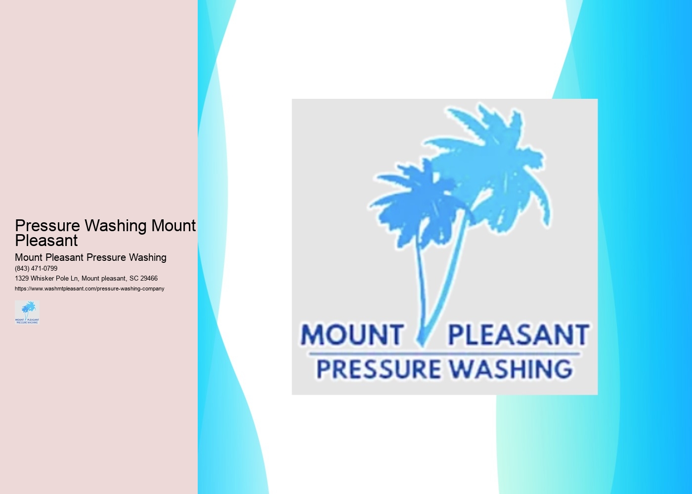 Pressure Washing Mount Pleasant