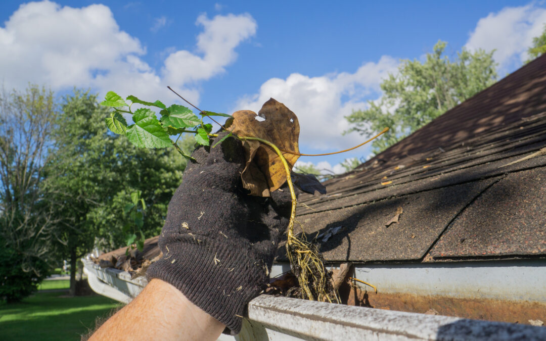 Things about Gutter Cleaning