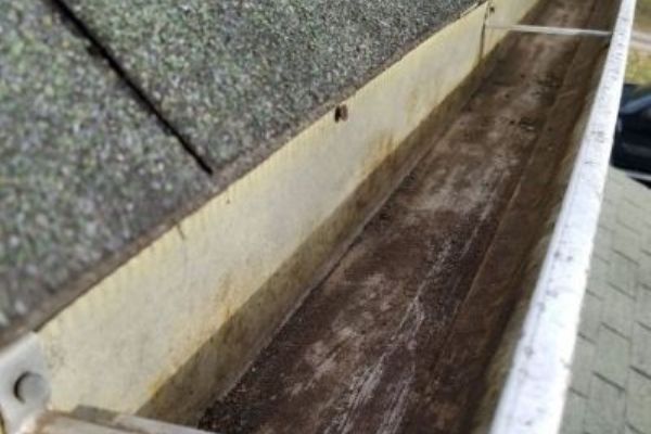 The Best Strategy To Use For Gutter Cleaning