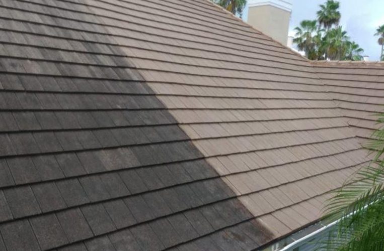 The 20-Second Trick For Roof Cleaning