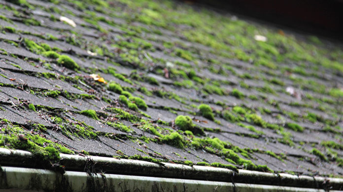 The Main Principles Of Roof Cleaning 