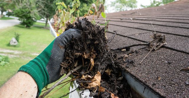 Gutter Cleaning - The Facts