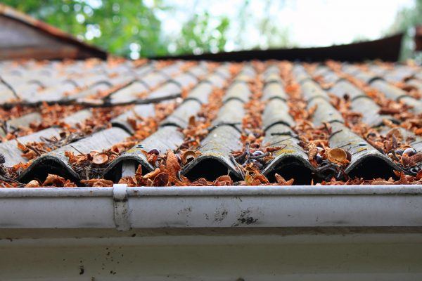 The Buzz on Gutter Cleaning