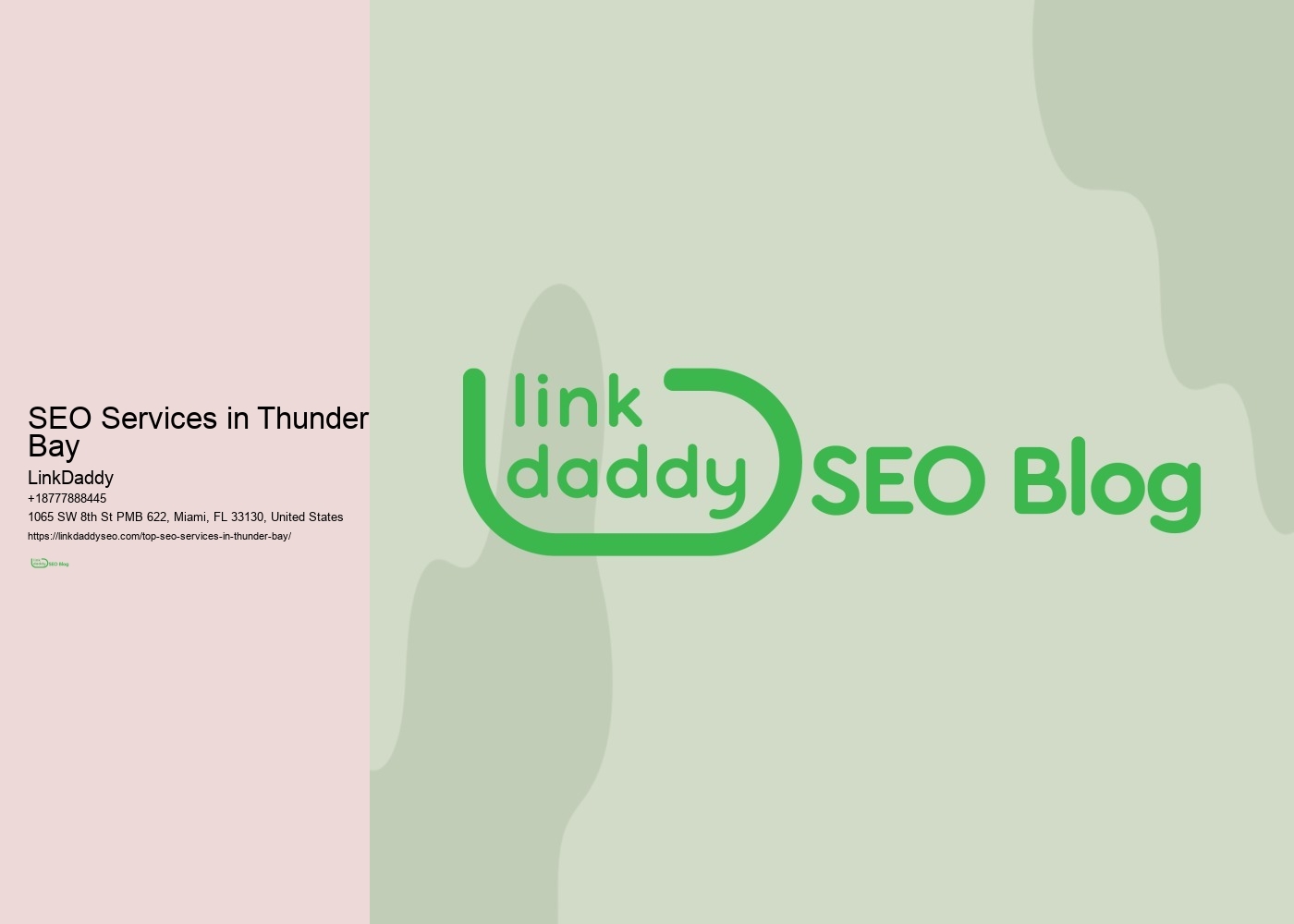 SEO Services in Thunder Bay