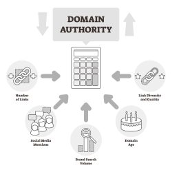 Our Domain Authority Score Checker Diaries