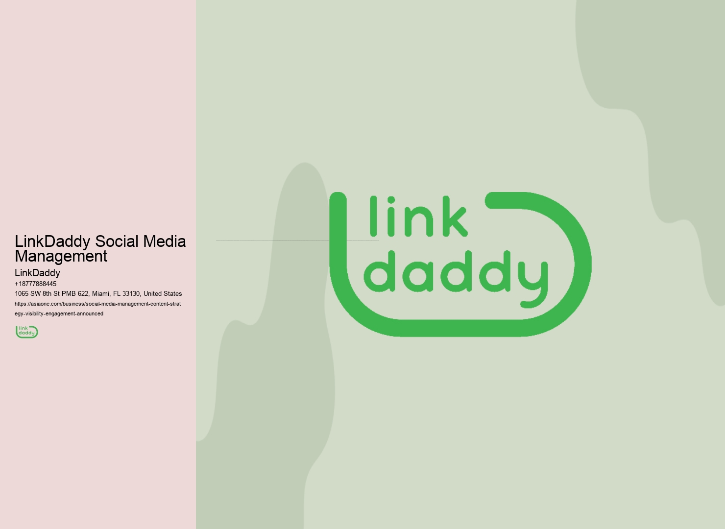 LinkDaddy Social Media Management