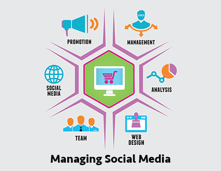 Professional Social Media Strategy