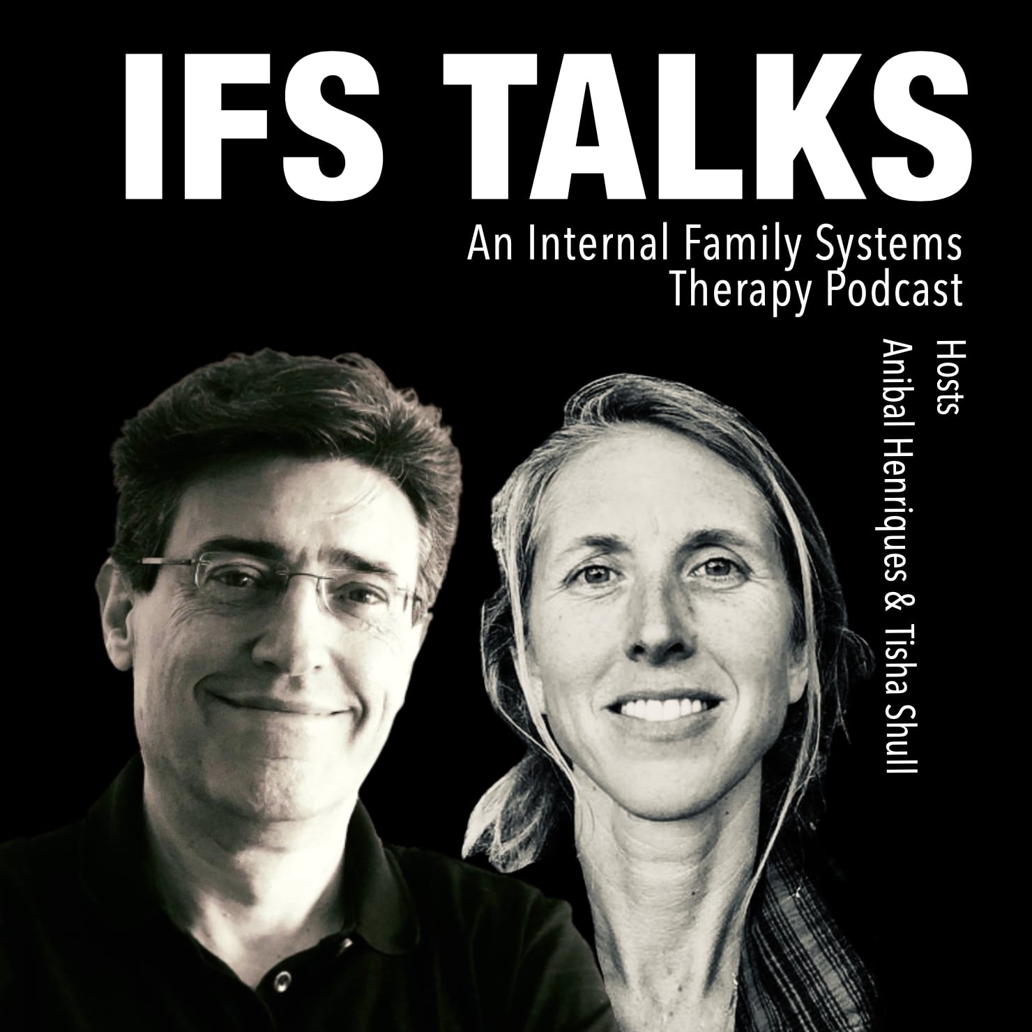 The Of Internal Family Systems Therapy