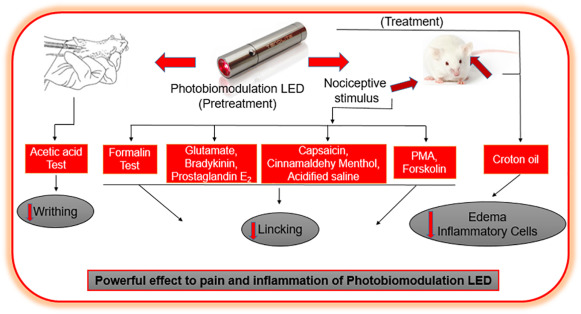 Photobiomodulation Things To Know Before You Get This