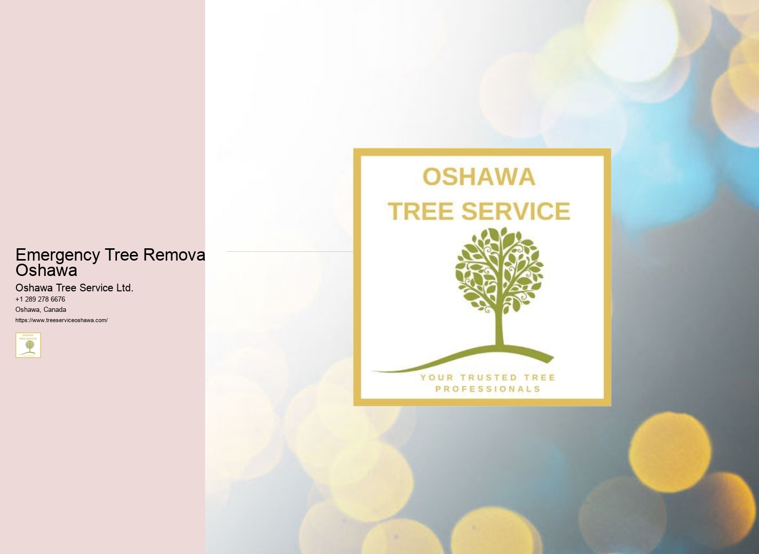 Emergency Tree Removal Oshawa