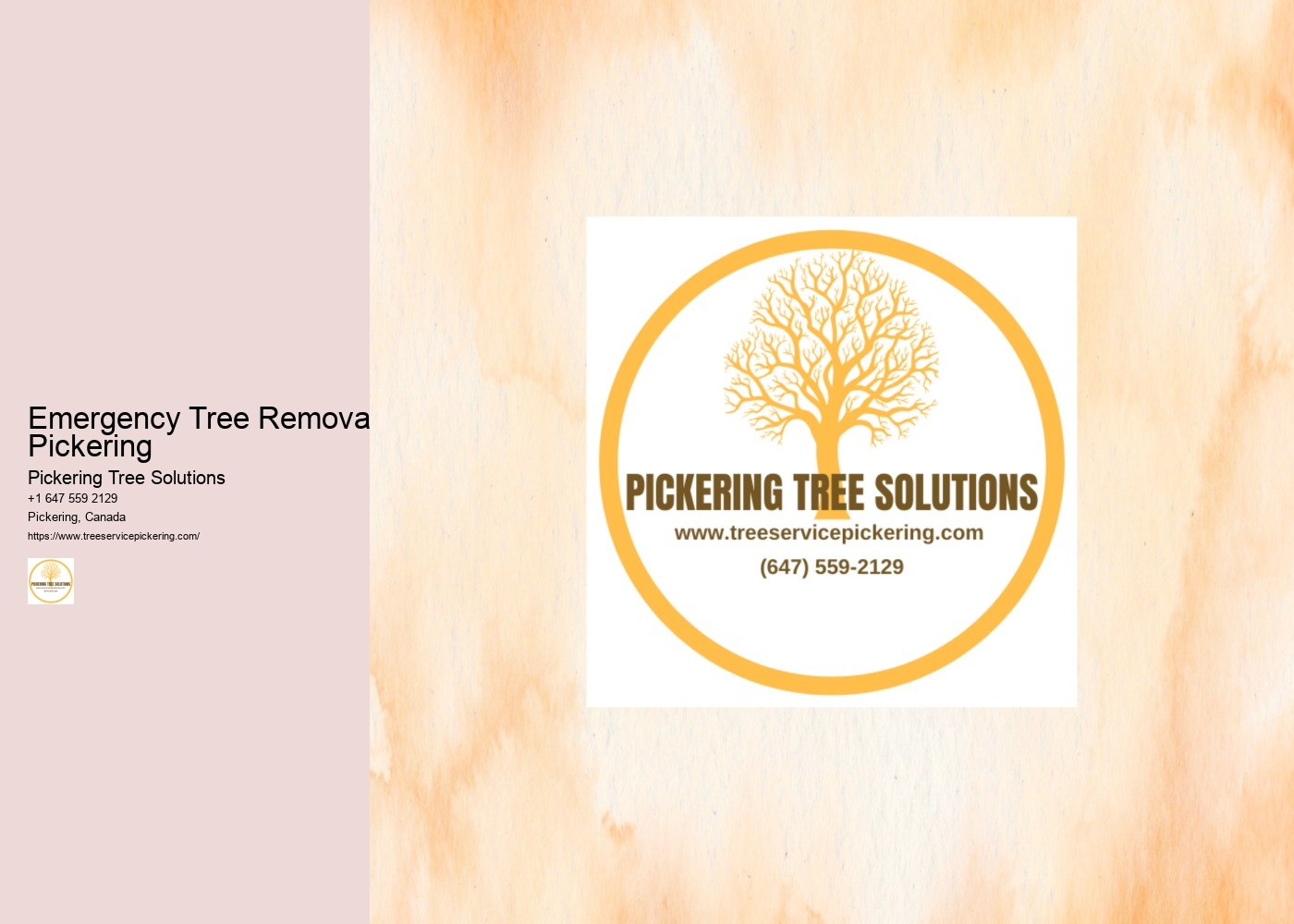 Emergency Tree Removal Pickering