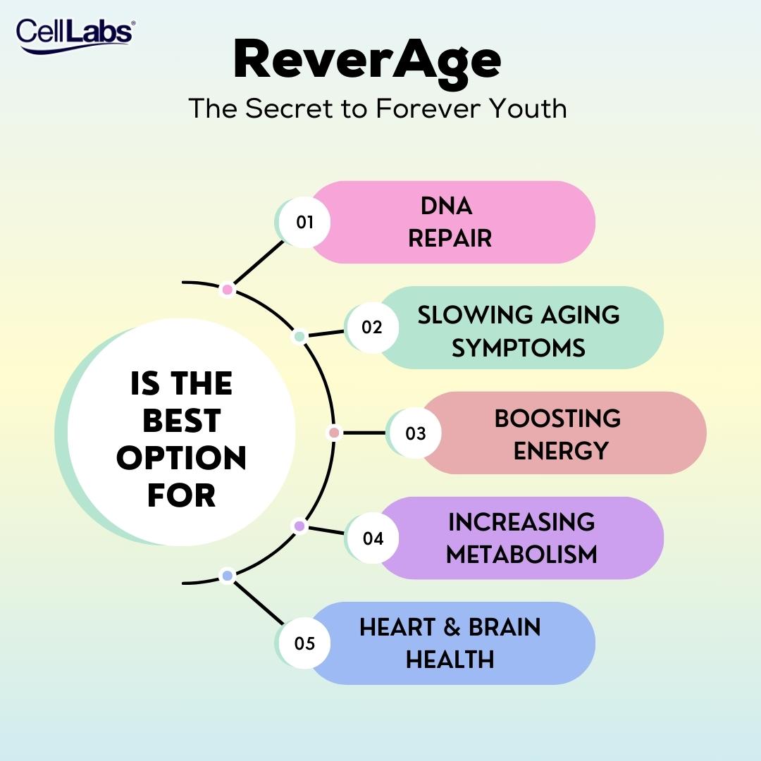 How to Choose the Right Supplement