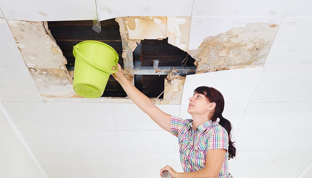 How Water Damage Restoration can Save You Time, Stress, and Money.