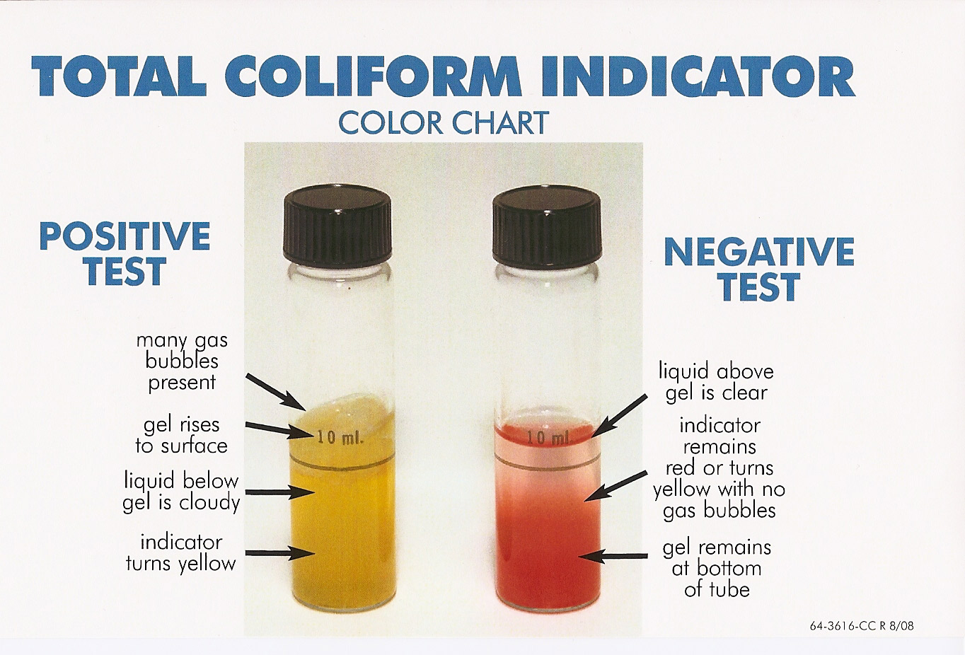 Essential Water Bacteria Testing Frequency: Monthly vs. Bi-Monthly Guidelines