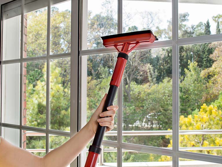 An Unbiased View of Window Cleaning