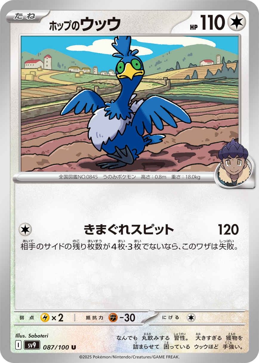 ホップのザシアンex 069/100 RR|ポケモンシングルカード通販 ホップのザシアンex 069/100 RR|ポケモンシングルカード通販