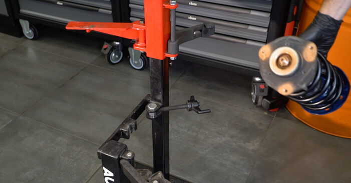 Schritt-für-Schritt-Anleitung zum selbstständigen Wechsel von Skoda Octavia 2 Combi 2007 2.0 TDI 4x4 Federn