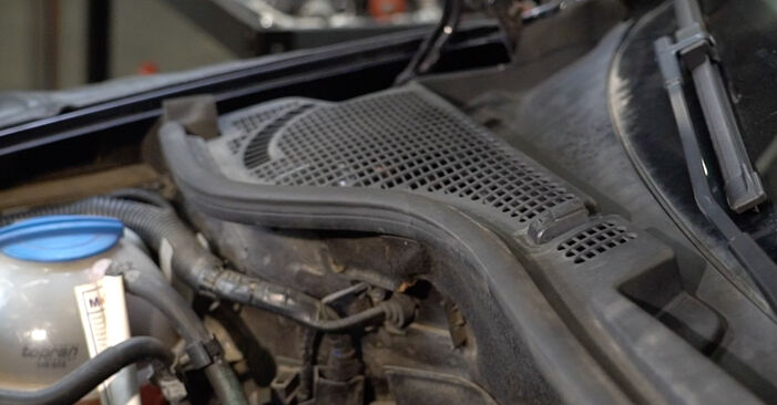 Tausch Tutorial Federn am SKODA Octavia II Combi (1Z5) 2006 wechselt - Tipps und Tricks